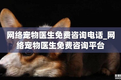 網絡寵物醫生免費咨詢電話_網絡寵物醫生免費咨詢平臺