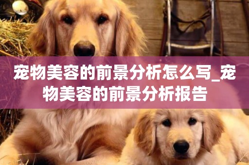 寵物美容的前景分析怎么寫_寵物美容的前景分析報告