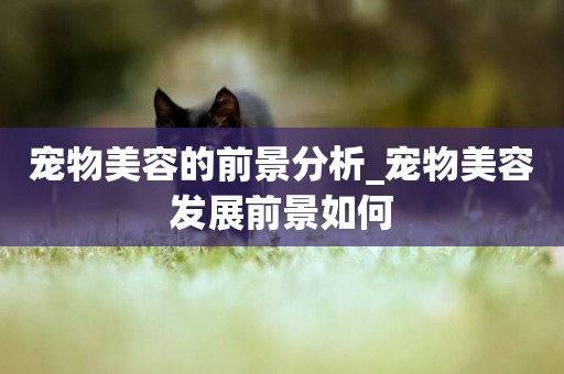 寵物美容的前景分析_寵物美容發展前景如何