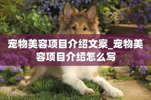 寵物美容項目介紹文案_寵物美容項目介紹怎么寫