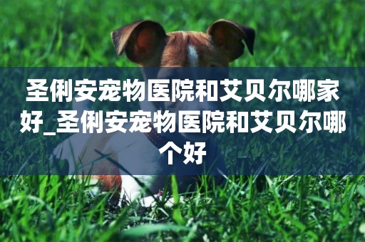 圣俐安寵物醫院和艾貝爾哪家好_圣俐安寵物醫院和艾貝爾哪個好