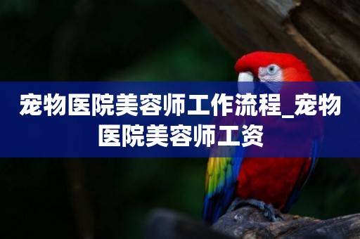 寵物醫院美容師工作流程_寵物醫院美容師工資