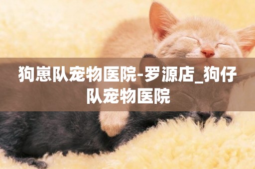 狗崽隊寵物醫院-羅源店_狗仔隊寵物醫院