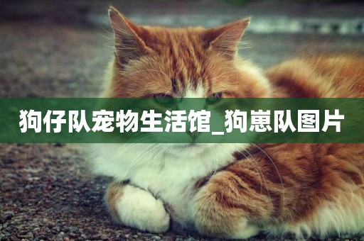 狗仔隊寵物生活館_狗崽隊圖片