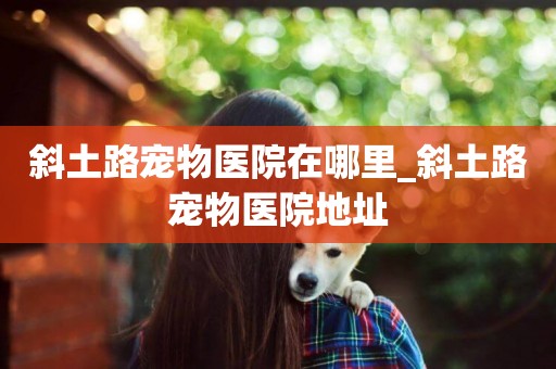 斜土路寵物醫院在哪里_斜土路寵物醫院地址