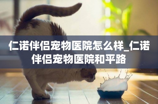 仁諾伴侶寵物醫院怎么樣_仁諾伴侶寵物醫院和平路