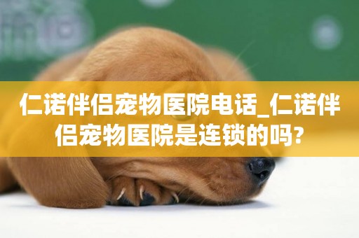 仁諾伴侶寵物醫院電話_仁諾伴侶寵物醫院是連鎖的嗎?