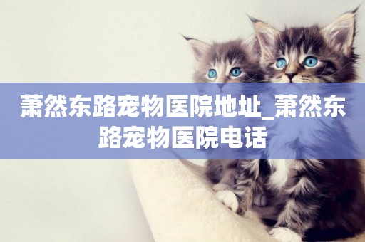 蕭然東路寵物醫院地址_蕭然東路寵物醫院電話