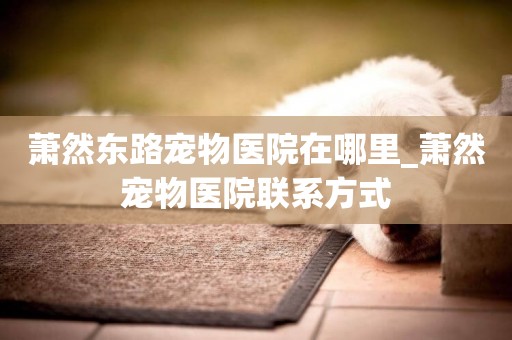 蕭然東路寵物醫院在哪里_蕭然寵物醫院聯系方式