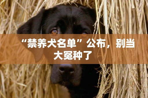 “禁養犬名單”公布，別當大冤種了 