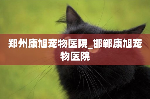 鄭州康旭寵物醫院_邯鄲康旭寵物醫院
