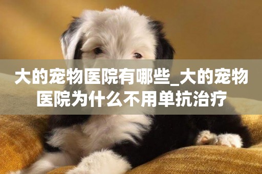 大的寵物醫院有哪些_大的寵物醫院為什么不用單抗治療