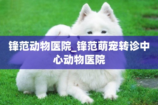鋒范動物醫院_鋒范萌寵轉診中心動物醫院