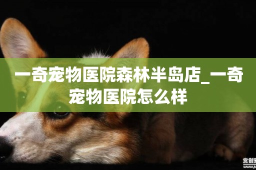 一奇寵物醫院森林半島店_一奇寵物醫院怎么樣