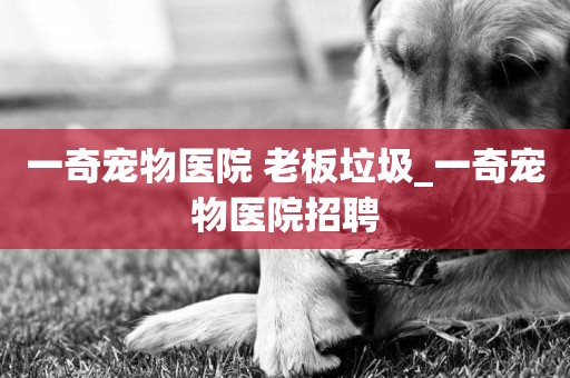 一奇寵物醫院 老板垃圾_一奇寵物醫院招聘