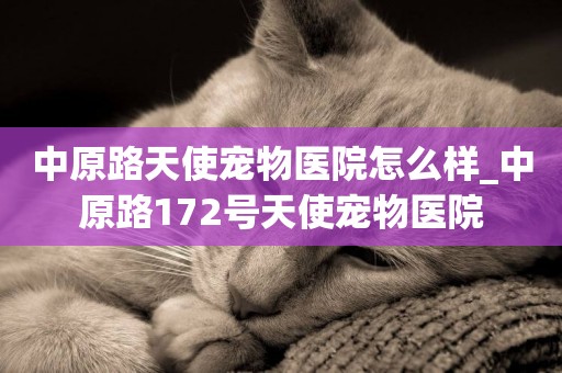中原路天使寵物醫院怎么樣_中原路172號天使寵物醫院