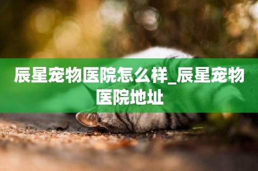 辰星寵物醫院怎么樣_辰星寵物醫院地址