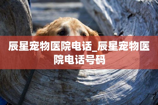 辰星寵物醫院電話_辰星寵物醫院電話號碼