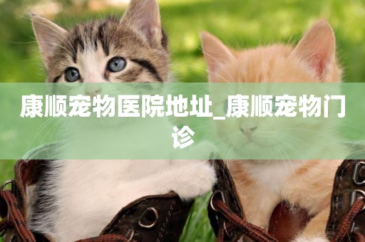 康順寵物醫院地址_康順寵物門診