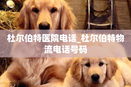 杜爾伯特醫院電話_杜爾伯特物流電話號碼