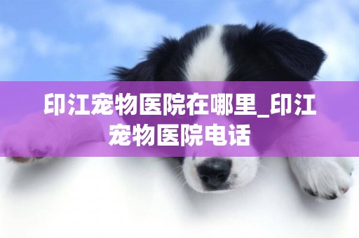 印江寵物醫院在哪里_印江寵物醫院電話