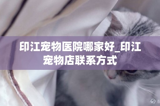 印江寵物醫院哪家好_印江寵物店聯系方式
