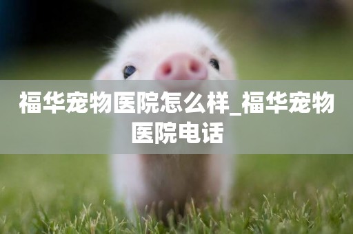 福華寵物醫院怎么樣_福華寵物醫院電話