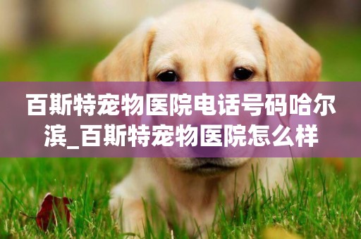 百斯特寵物醫院電話號碼哈爾濱_百斯特寵物醫院怎么樣