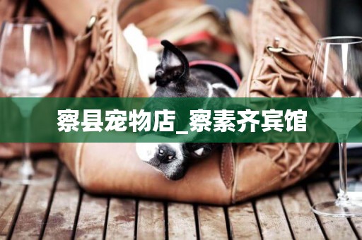 察縣寵物店_察素齊賓館