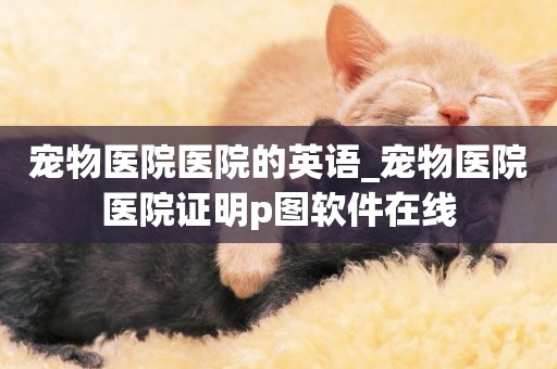 寵物醫院醫院的英語_寵物醫院醫院證明p圖軟件在線