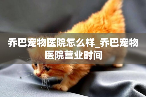 喬巴寵物醫院怎么樣_喬巴寵物醫院營業時間