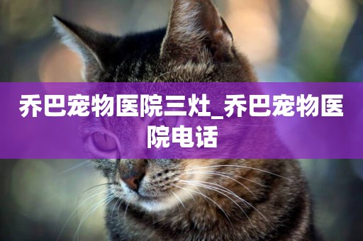 喬巴寵物醫院三灶_喬巴寵物醫院電話