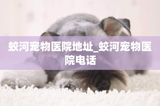 蛟河寵物醫院地址_蛟河寵物醫院電話