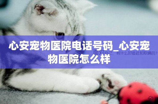心安寵物醫院電話號碼_心安寵物醫院怎么樣