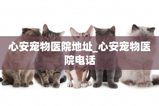 心安寵物醫院地址_心安寵物醫院電話