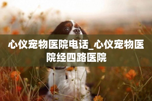 心儀寵物醫院電話_心儀寵物醫院經四路醫院