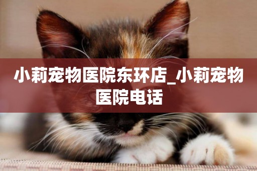 小莉寵物醫院東環店_小莉寵物醫院電話