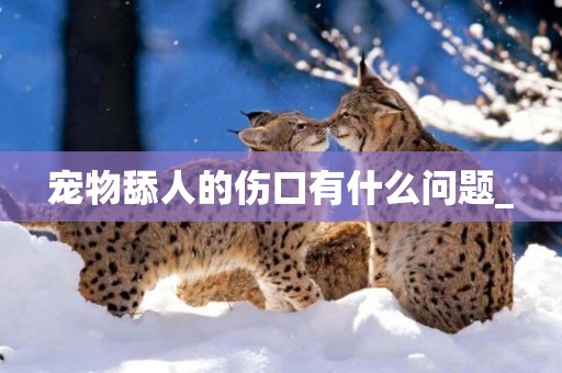 寵物舔人的傷口有什么問題_