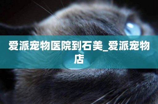 愛派寵物醫院到石美_愛派寵物店