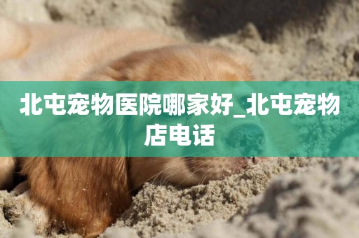 北屯寵物醫院哪家好_北屯寵物店電話
