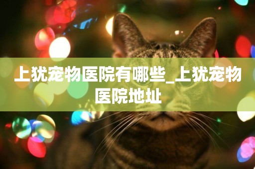 上猶寵物醫院有哪些_上猶寵物醫院地址