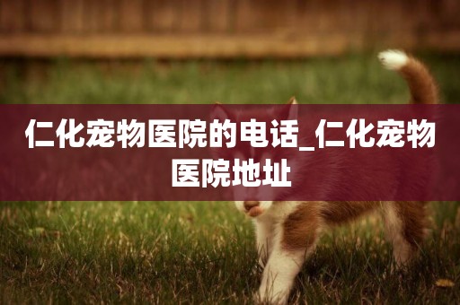 仁化寵物醫院的電話_仁化寵物醫院地址