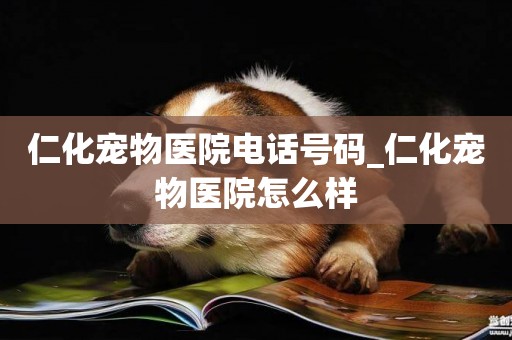 仁化寵物醫院電話號碼_仁化寵物醫院怎么樣