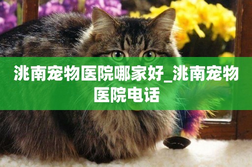 洮南寵物醫院哪家好_洮南寵物醫院電話
