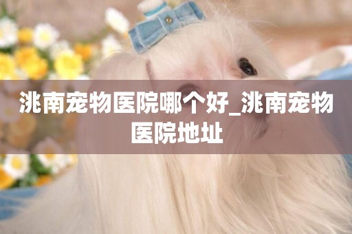 洮南寵物醫院哪個好_洮南寵物醫院地址