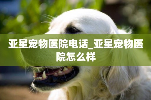 亞星寵物醫院電話_亞星寵物醫院怎么樣