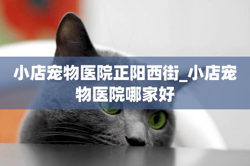 小店寵物醫院正陽西街_小店寵物醫院哪家好