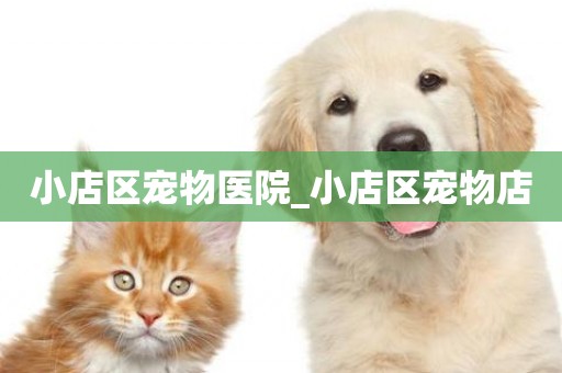 小店區寵物醫院_小店區寵物店