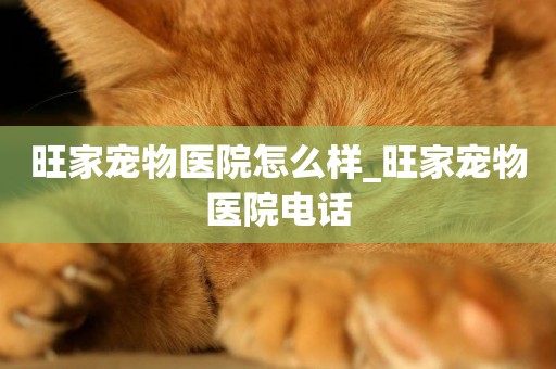 旺家寵物醫院怎么樣_旺家寵物醫院電話