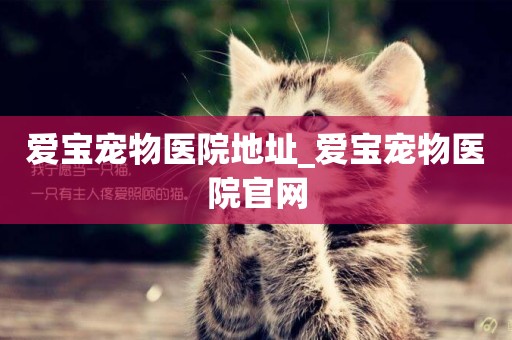 愛寶寵物醫院地址_愛寶寵物醫院官網